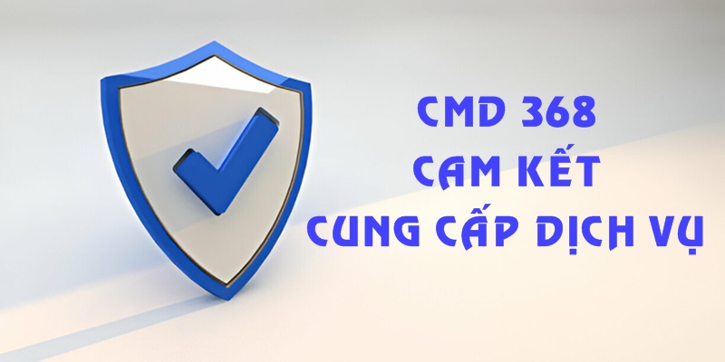 CMD368 xây dựng các cam kết chắc chắn khi cấp dịch vụ 