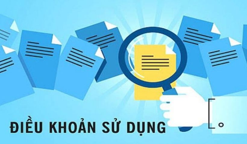 Tổng hợp quyền lợi của nền tảng và người dùng